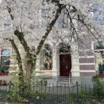 Van Triest te huur Zwolle Centrum